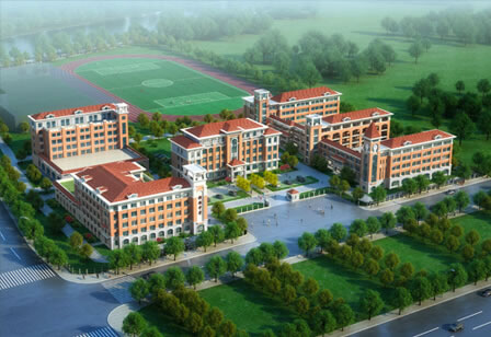 測試的案例信息，測試的案例信息